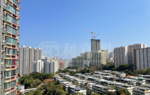 綠悠雅苑 1座 - 28NTS – 香港北部都會區