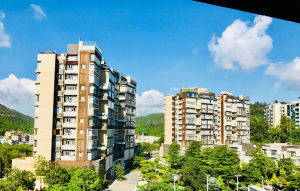 星堤 10座 - 28NTS – 香港北部都會區
