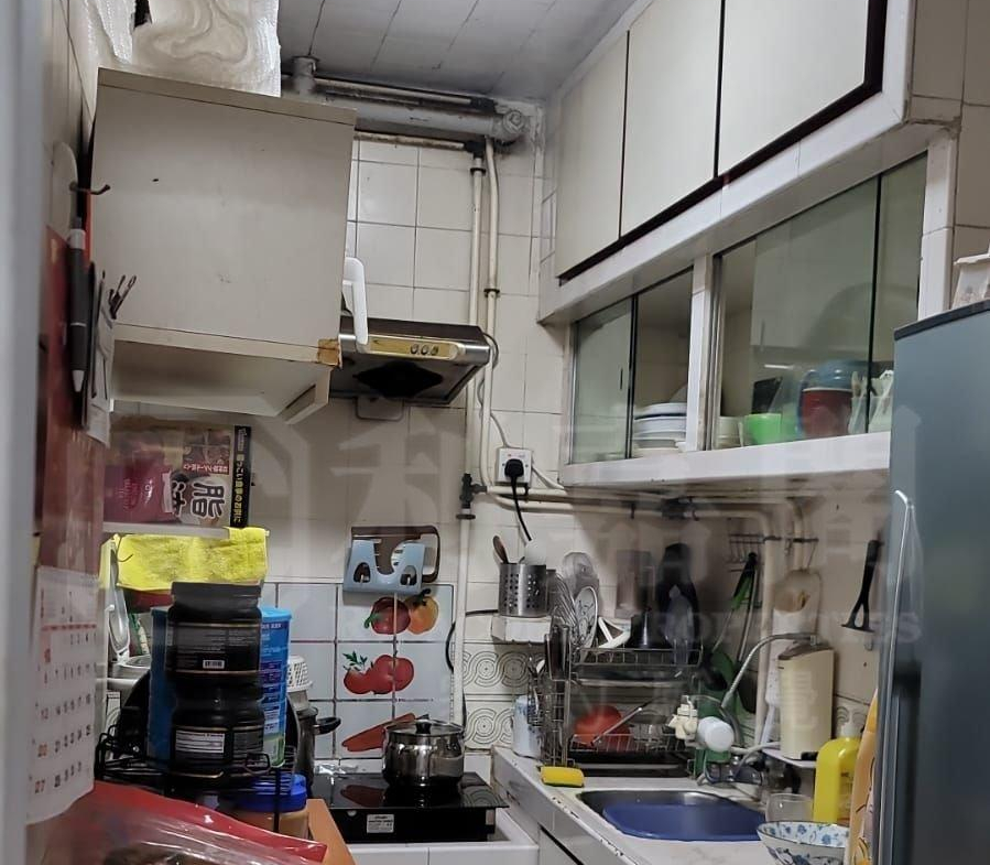 祈德尊新邨 A座 - 28NTS – 香港北部都會區