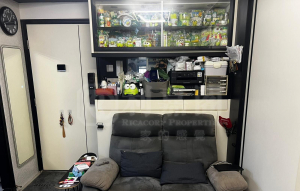 屏欣苑 C座 (屏泰閣) - 28NTS – 香港北部都會區
