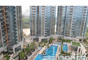 爾巒 茵羅洛斯大道 6A座 - 28NTS – 香港北部都會區