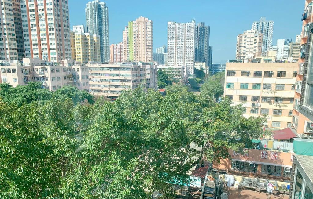 好旺洋樓 - 28NTS – 香港北部都會區