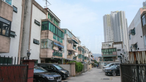 寶華花園 - 28NTS – 香港北部都會區