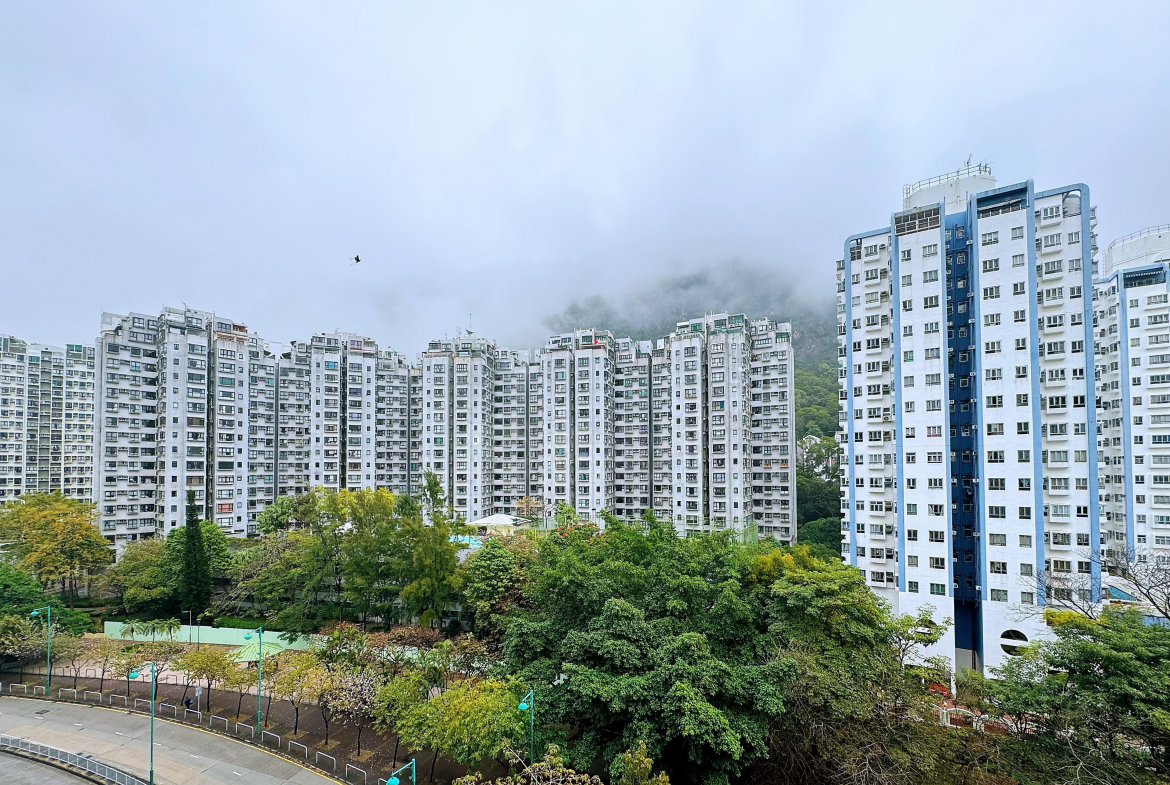龍成花園 3座 - 28NTS – 香港北部都會區