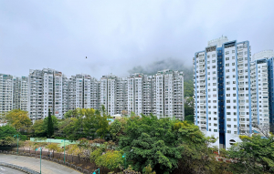 龍成花園 3座 - 28NTS – 香港北部都會區