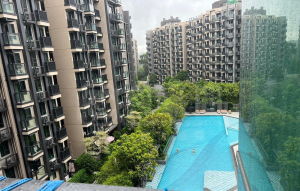 WETLAND SEASONS PARK 2期 12座 - 28NTS – 香港北部都會區