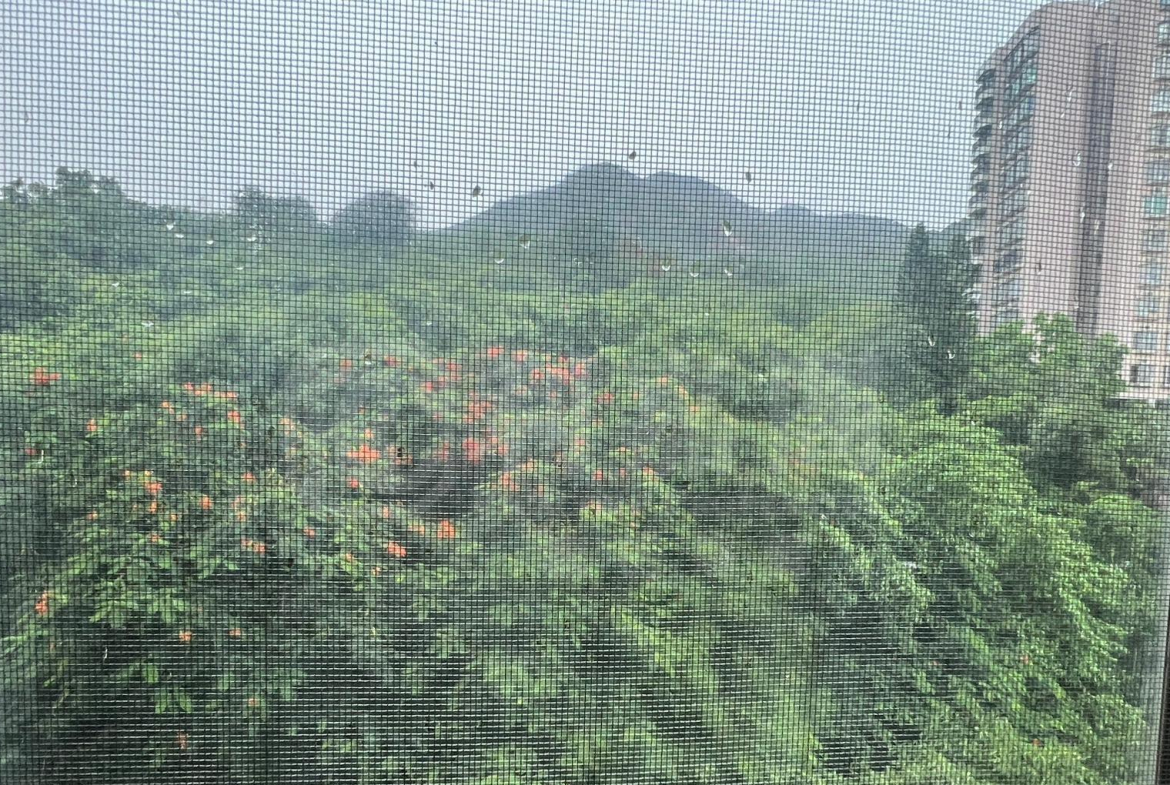翠濤居 2座 - 28NTS – 香港北部都會區