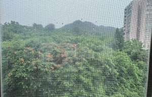 翠濤居 2座 - 28NTS – 香港北部都會區