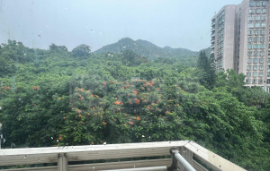 翠濤居 2座 - 28NTS – 香港北部都會區