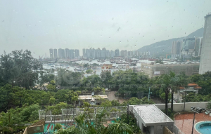 翠濤居 2座 - 28NTS – 香港北部都會區