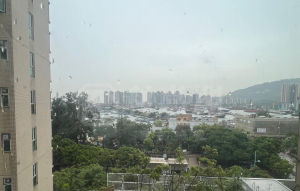 翠濤居 2座 - 28NTS – 香港北部都會區