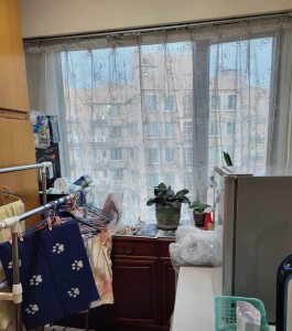 金閣豪園 2座 - 28NTS – 香港北部都會區