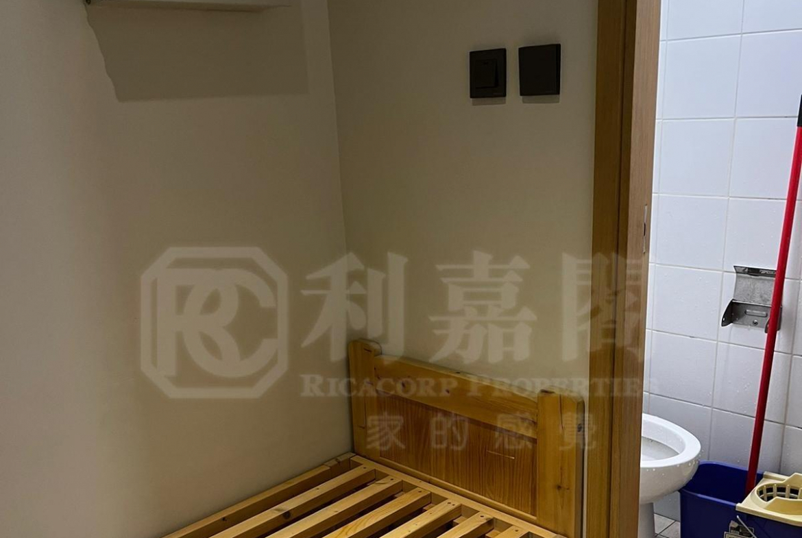 星堤 - 28NTS – 香港北部都會區