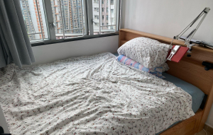長安邨 安潤樓 (9座) - 28NTS – 香港北部都會區