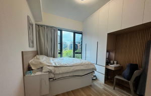 滿名山 名庭 5座 - 28NTS – 香港北部都會區