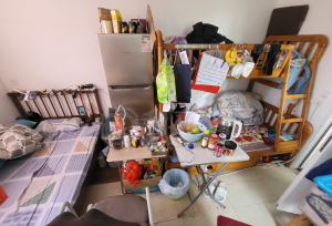 青富苑 B座 - 28NTS – 香港北部都會區