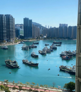 麗城花園 2期 2座 - 28NTS – 香港北部都會區