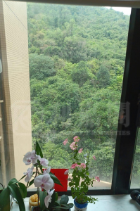 曉峰園 5座 - 28NTS – 香港北部都會區