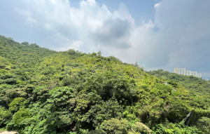 明翹匯 1座 - 28NTS – 香港北部都會區
