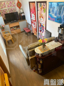 聯發洋樓 - 28NTS – 香港北部都會區