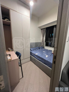 NOVO LAND 1B期 Bergen 3座 - 28NTS – 香港北部都會區