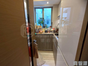 峻巒 2A期 PARK YOHO GENOVA 15A座 - 28NTS – 香港北部都會區