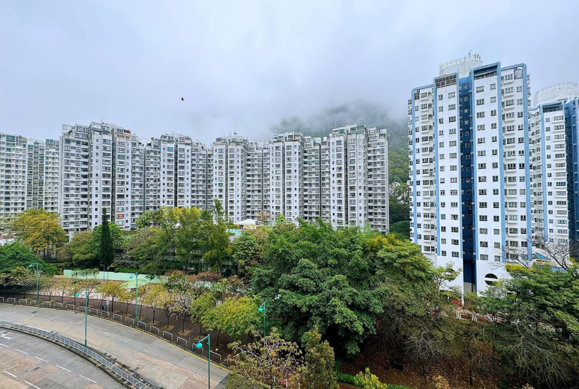 龍成花園 3座 - 28NTS – 香港北部都會區