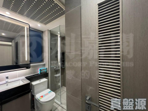 NOVO LAND 2B期 Arreso 1B座 - 28NTS – 香港北部都會區