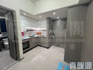 NOVO LAND 2B期 Arreso 1B座 - 28NTS – 香港北部都會區