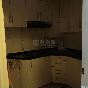嘉湖山莊 2期 賞湖居 6座 - 28NTS – 香港北部都會區