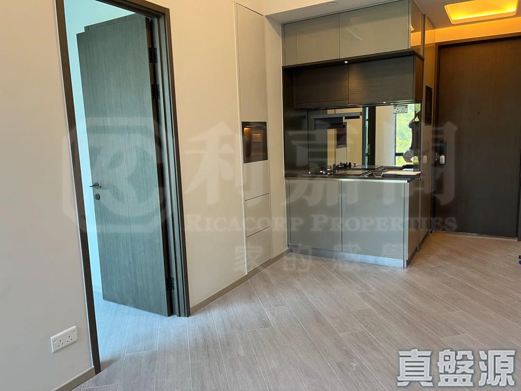 帝御 2期 帝御‧星濤 2座 - 28NTS – 香港北部都會區