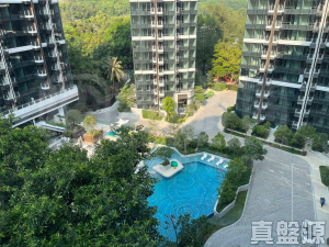 帝御 2期 帝御‧星濤 2座 - 28NTS – 香港北部都會區