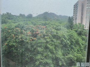 翠濤居 2座 - 28NTS – 香港北部都會區