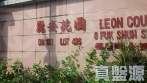 麗安花園 21座 - 28NTS – 香港北部都會區