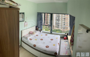 翠韻華庭 1座 - 28NTS – 香港北部都會區