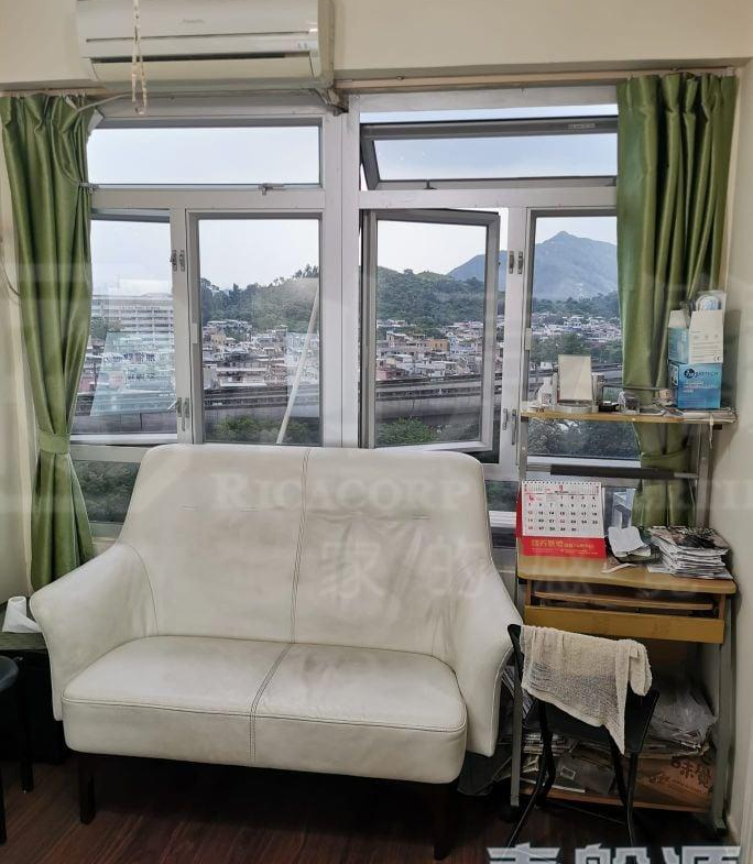 東輝閣 - 28NTS – 香港北部都會區