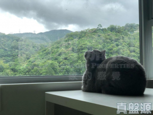 荃景花園 2期 10座 - 28NTS – 香港北部都會區