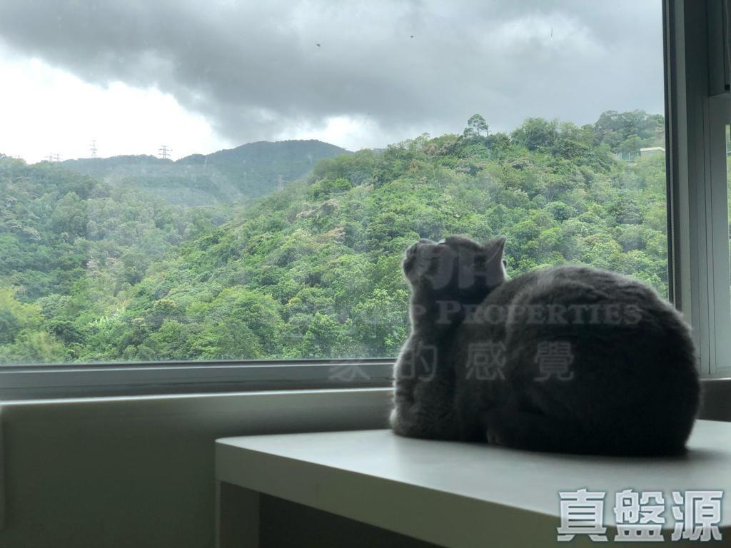 荃景花園 2期 10座 - 28NTS – 香港北部都會區