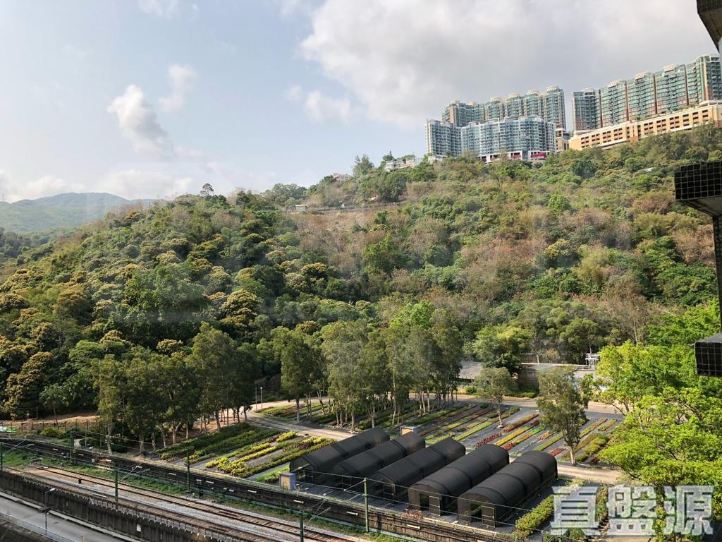 荃景花園 2期 10座 - 28NTS – 香港北部都會區