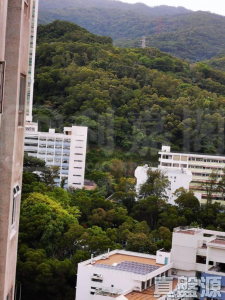 荃德花園 B座 - 28NTS – 香港北部都會區