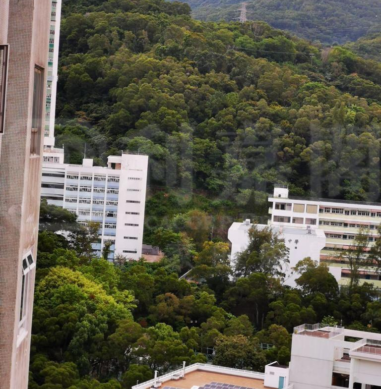 荃德花園 B座 - 28NTS – 香港北部都會區