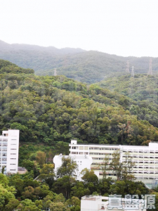 荃德花園 B座 - 28NTS – 香港北部都會區
