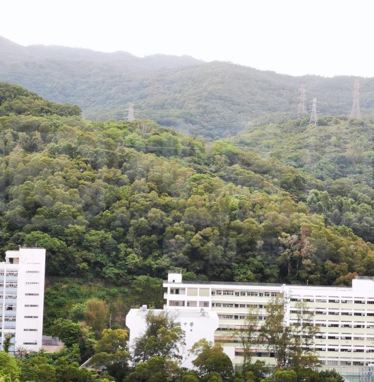 荃德花園 B座 - 28NTS – 香港北部都會區