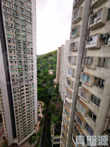 荃德花園 B座 - 28NTS – 香港北部都會區
