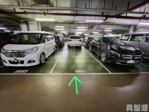 盈翠半島 車位 車位 - 28NTS – 香港北部都會區