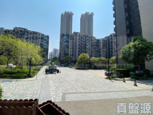 WETLAND SEASONS PARK 3期 1座 - 28NTS – 香港北部都會區