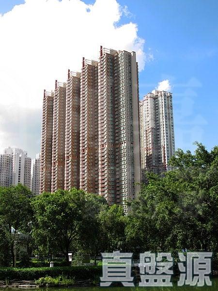 栢慧豪園 2期 栢慧豪廷 8座 - 28NTS – 香港北部都會區