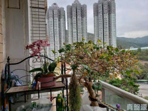 碧堤半島 2期 5座 - 28NTS – 香港北部都會區