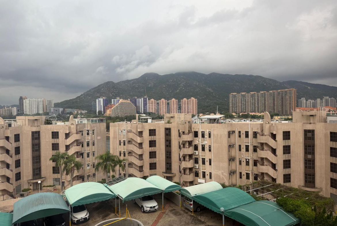 龍珠花園 C座 - 28NTS – 香港北部都會區