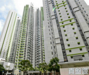 尚翠苑 B座 (翠河閣) - 28NTS – 香港北部都會區